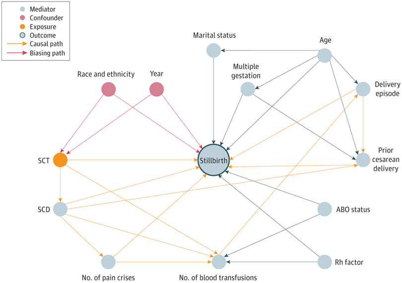 Confounders include race and ethnicity and year, and biasing paths connect each of these 2 variables with SCT and stillbirth. Causal paths connect SCT with stillbirth by way of various mediators. Mediators include sickle cell disease (SCD), the number of pain crises before delivery, the number of blood transfusions before delivery, ABO blood type, Rhesus factor, marital status, age, multiple gestation, and delivery episode.